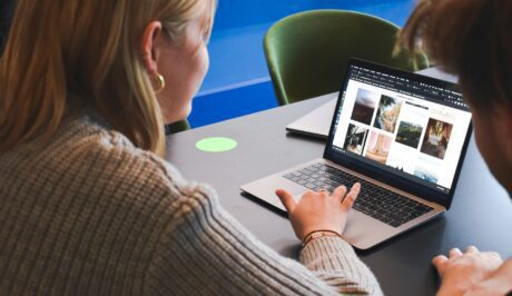 business website development