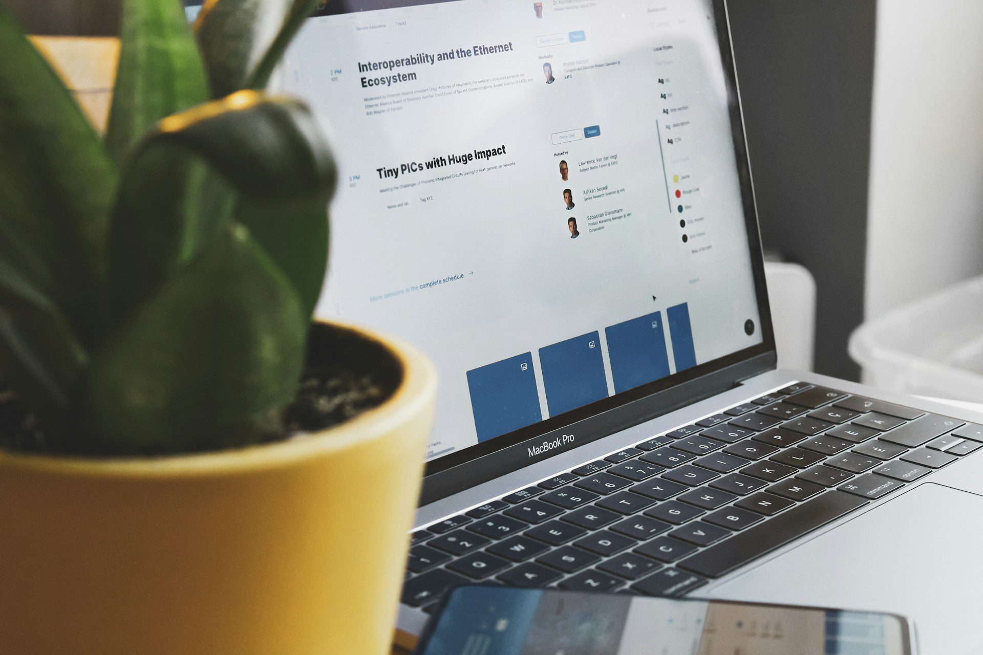 website audit services